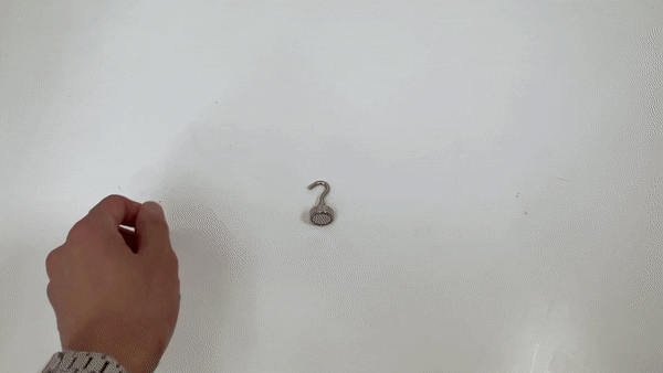 732975028ec8f63c4cca6dfc69c920c1_1709195010_7382_1709884179.gif